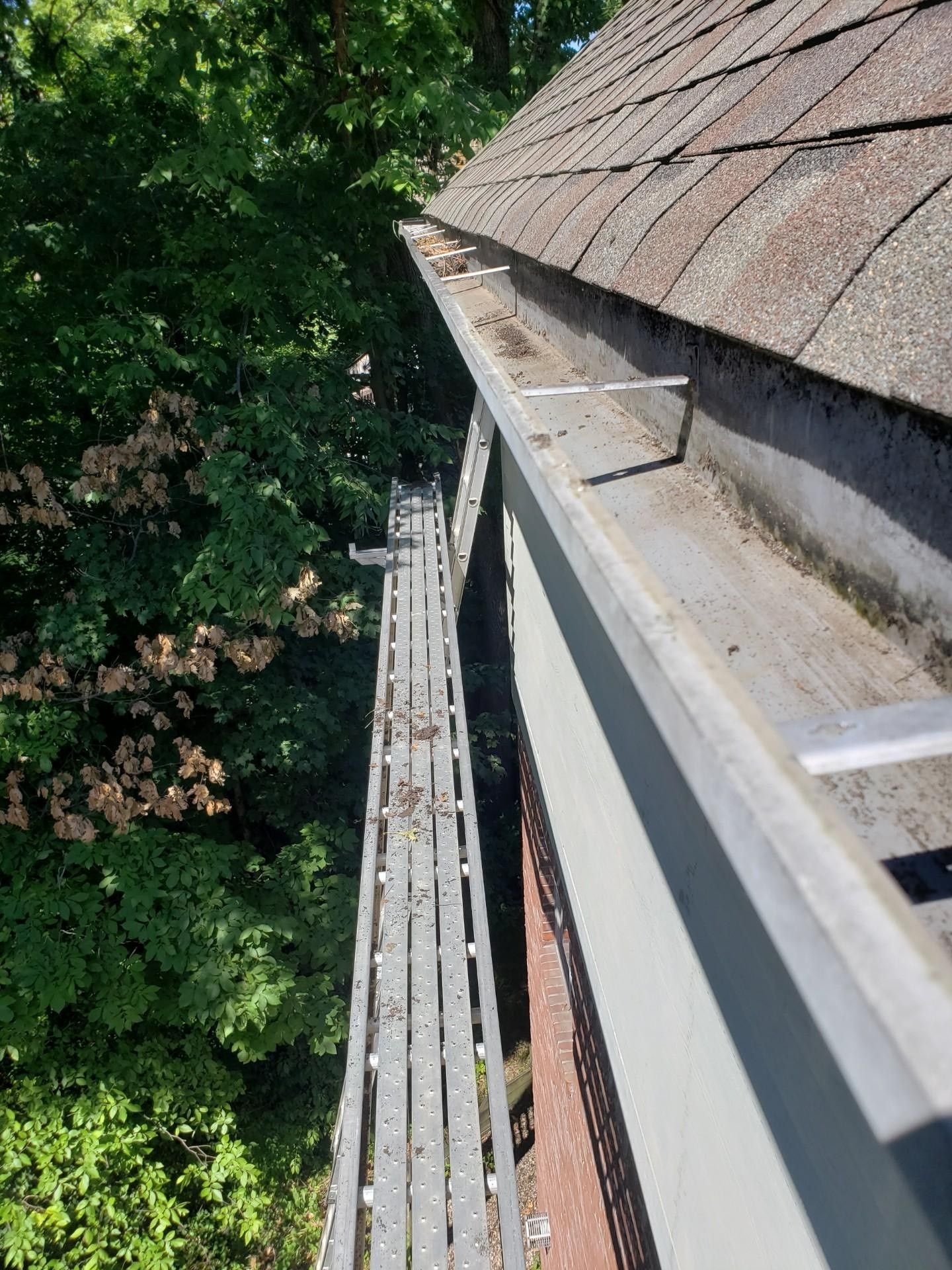Ladder leaning against a house gutter filled with debris; trees visible.