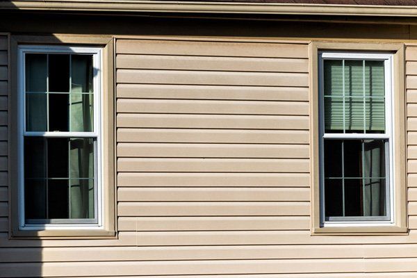 Two beige windows with white frames on a beige horizontal siding wall.