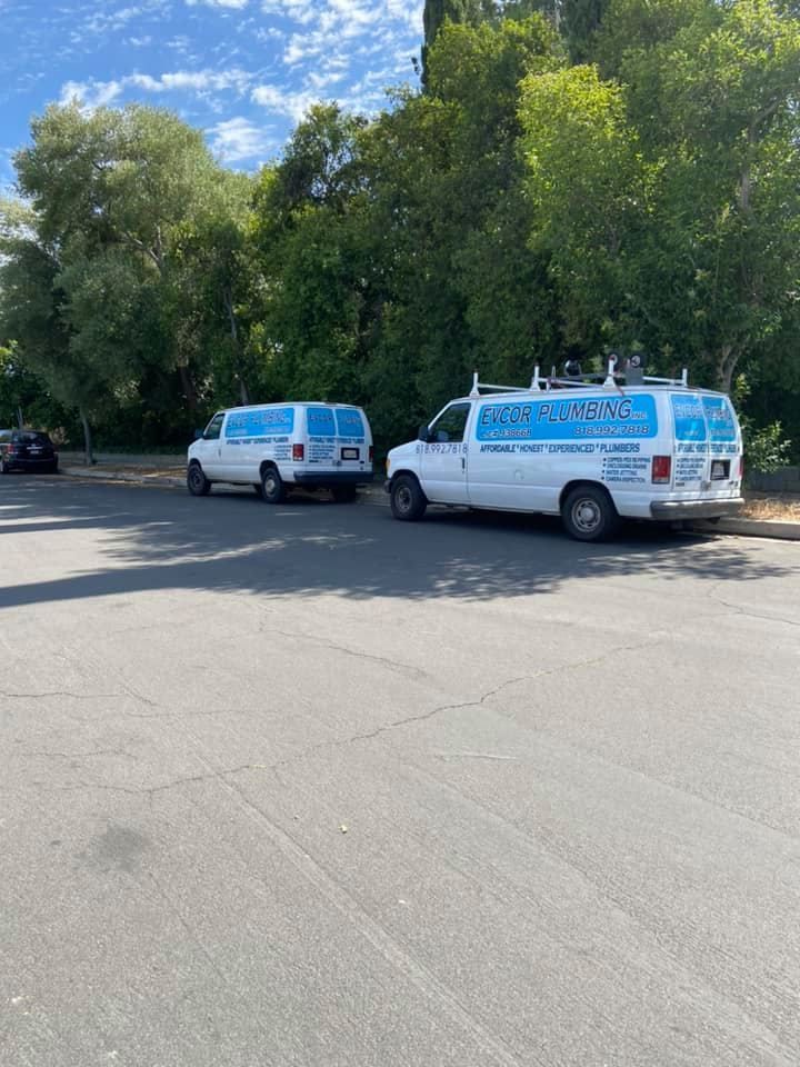 Two white service vans with blue signage parked in a lot beside trees under a blue sky