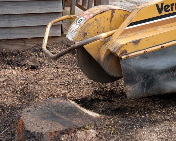 Stump grinding