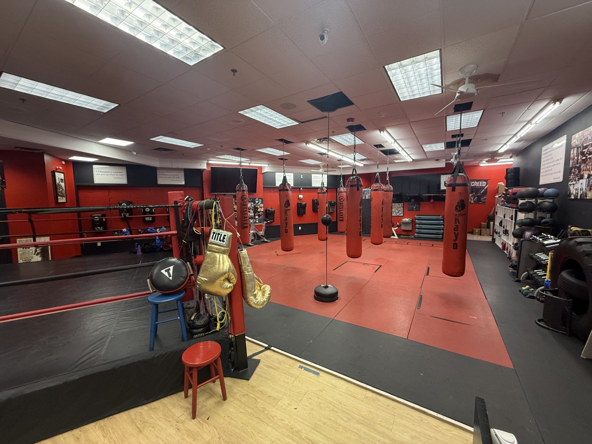 Meet Our Team | Kayo Boxing