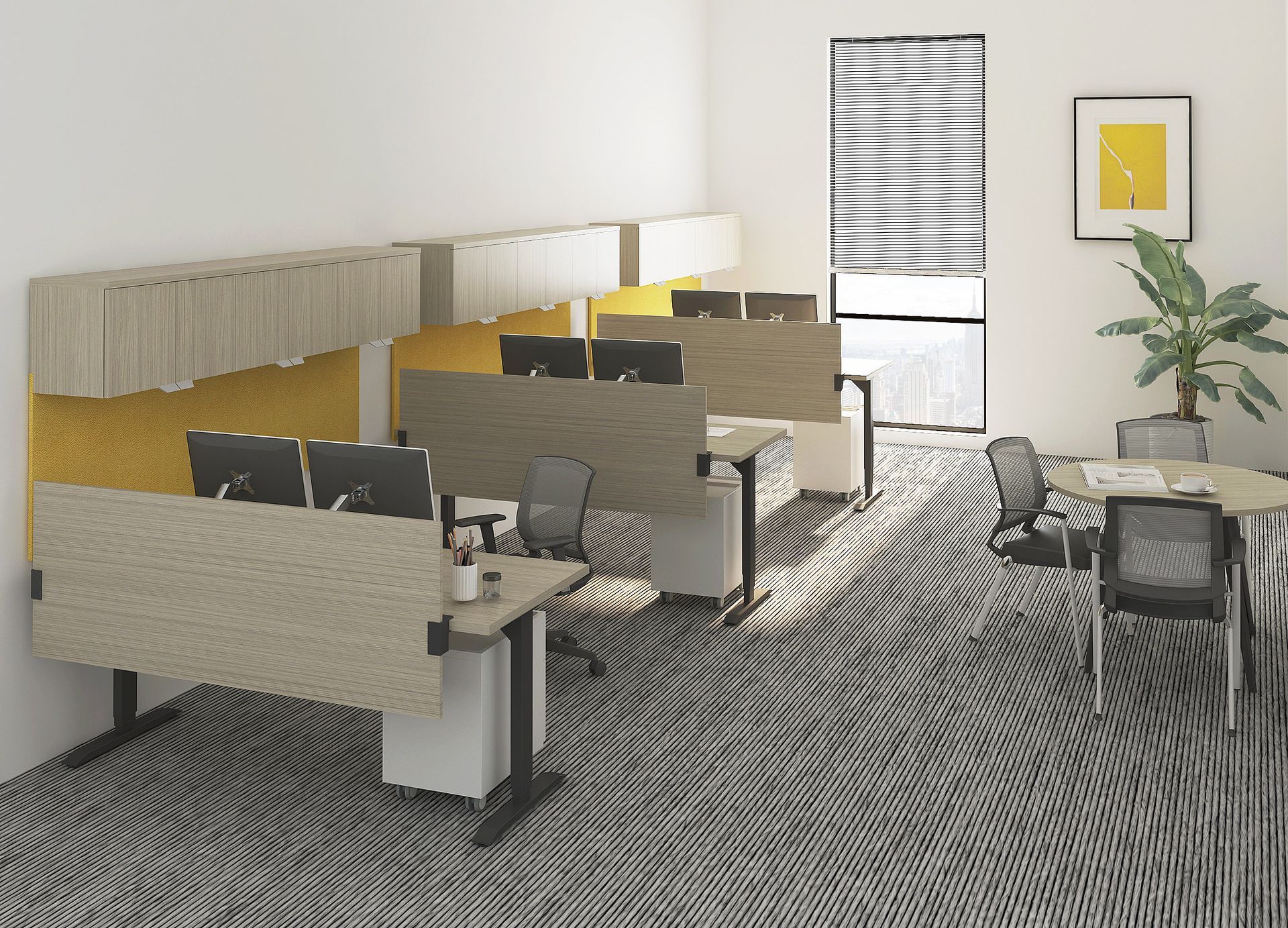 Empty classroom with rows of desks, striped carpet, windows, and a potted plant near the wall.