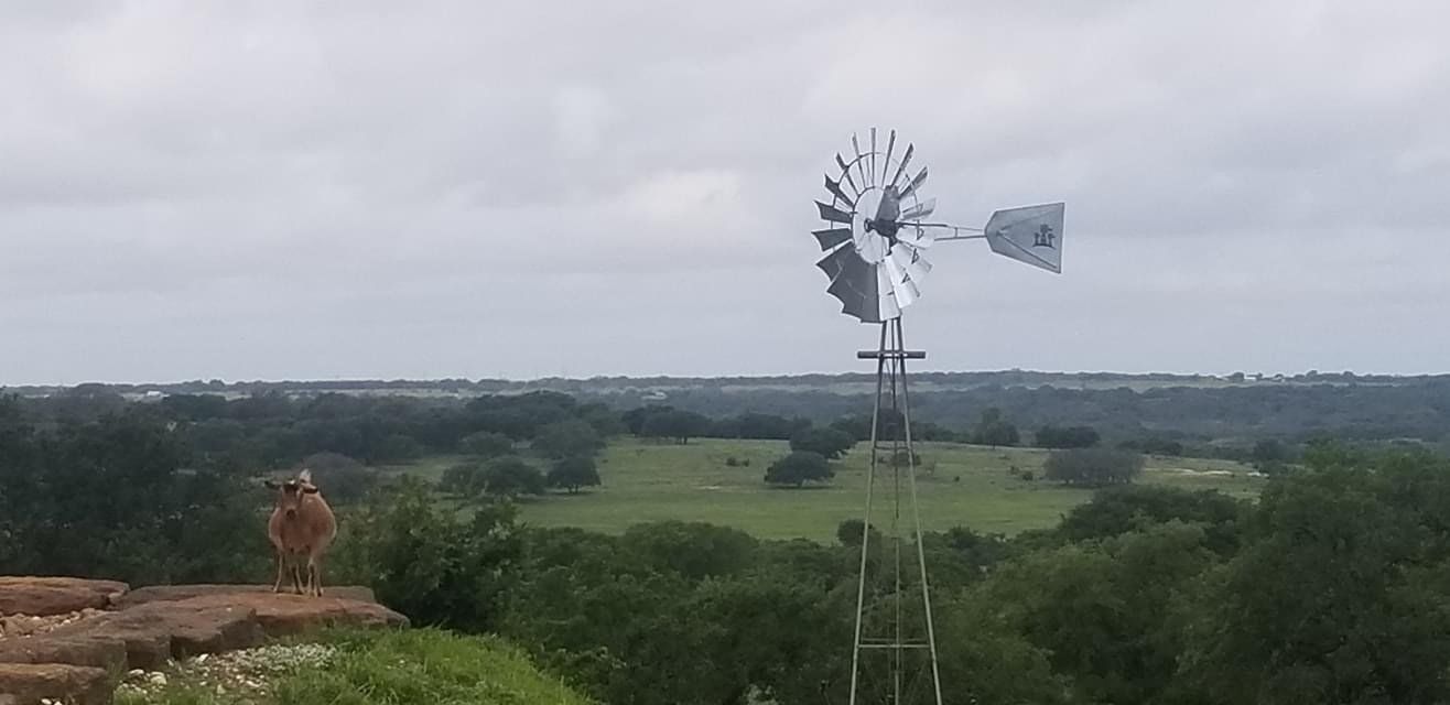 Windmill services