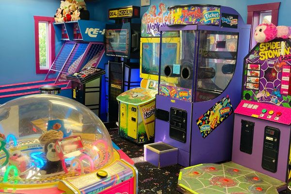 Go Wild in Our Game Room