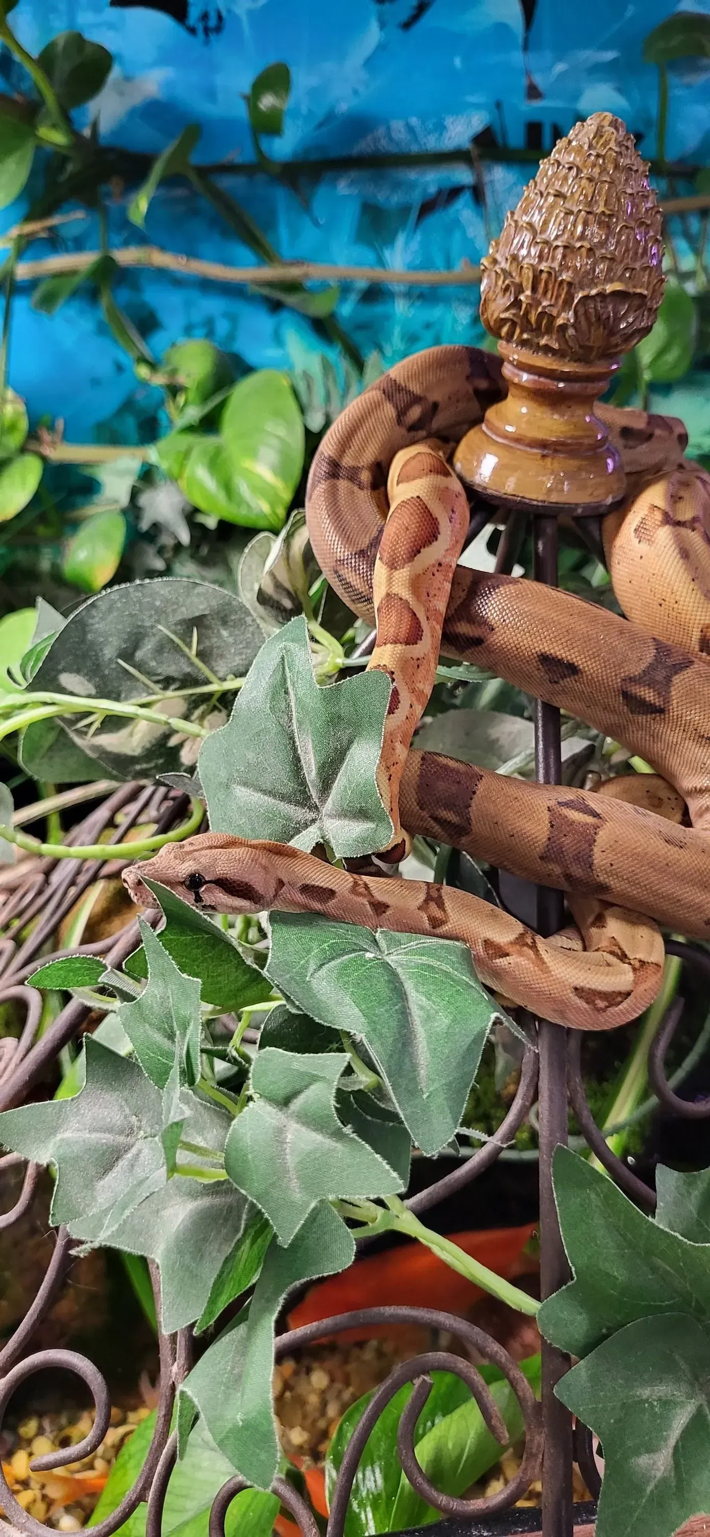 A brown snake coiled on a decorative metal post with leaves and a blue background.