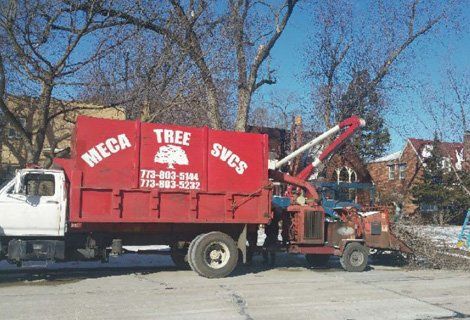 A red truck with the word tree on it