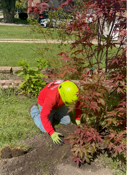 A man wearing a yellow helmet is kneeling down in a garden.