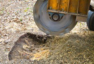Stump Grinding