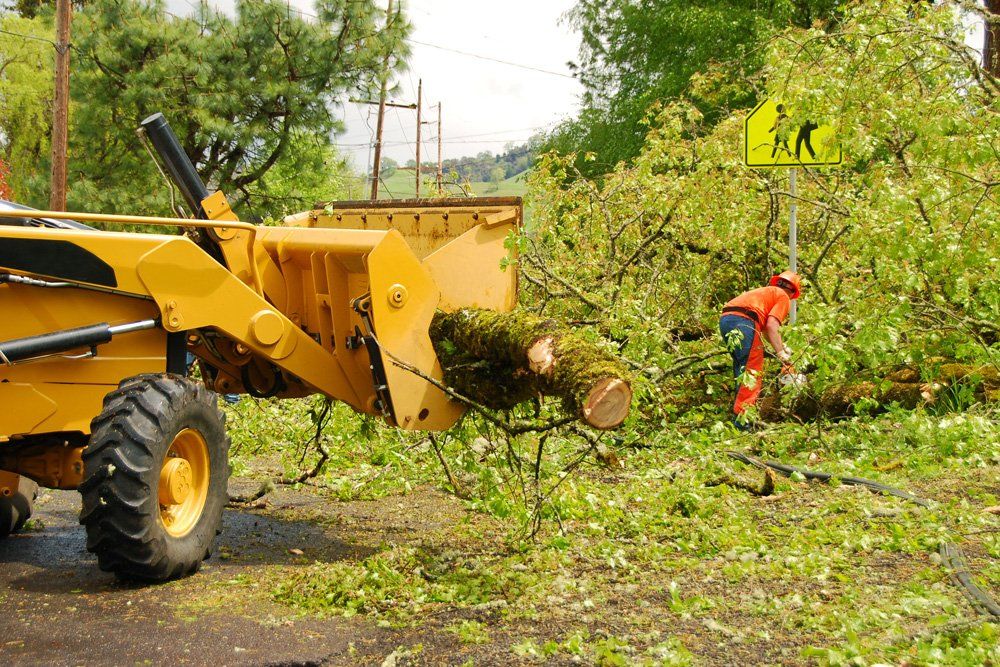 Storm Damage Cleanup