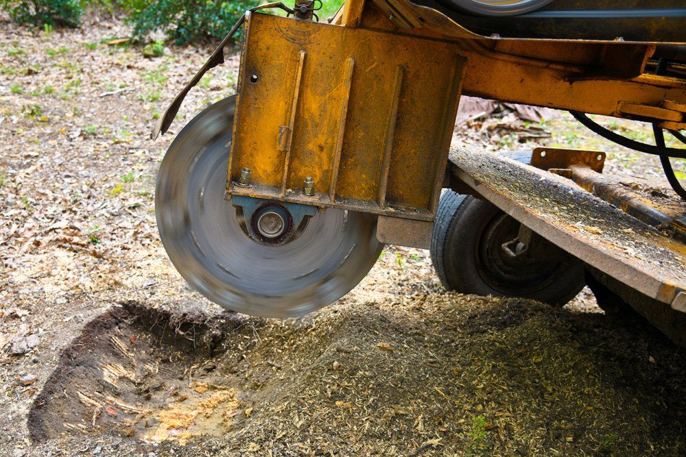 Stump Grinding