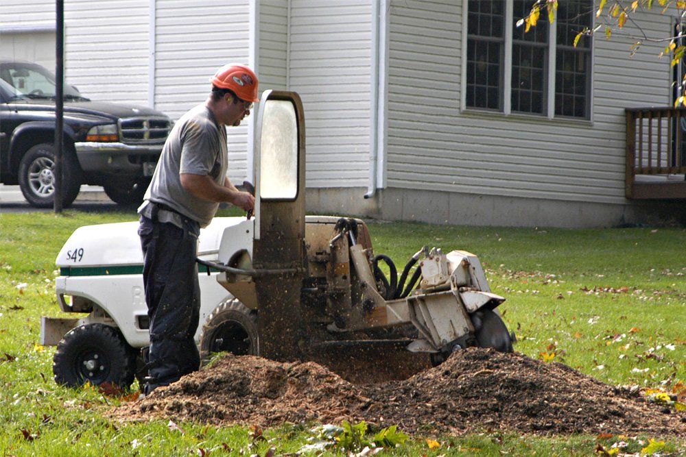 Stump Grinding