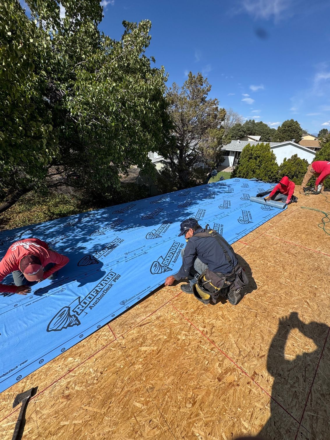 Workers securing a large blue tarp on a sloped yard beside trees and a house on a sunny day