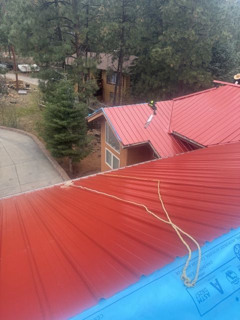 Rooftop with red metal panels and a blue tarp, overlooking trees and a driveway below
