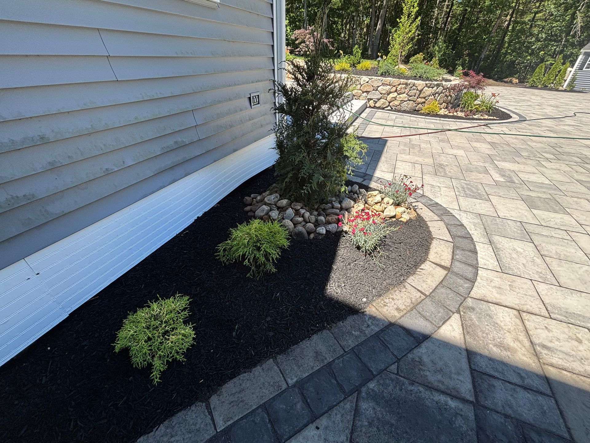 Landscaped side yard with shrubs, black mulch, and a curved stone paver walkway beside a house