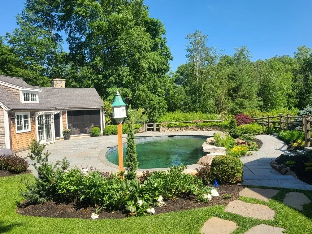 A backyard swimming pool with stone decking, landscaping, a green birdhouse, and a house exterior on a sunny day.