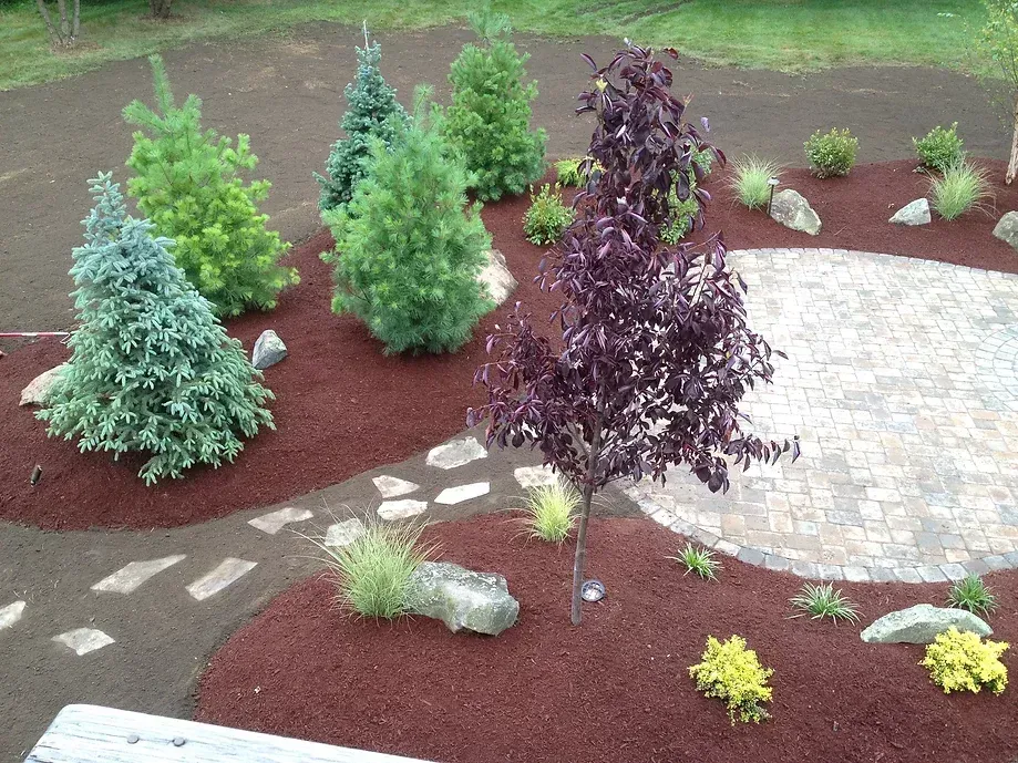 A circular stone patio surrounded by red mulch, evergreen trees, a dark-leafed tree, and small shrubs in a garden.
