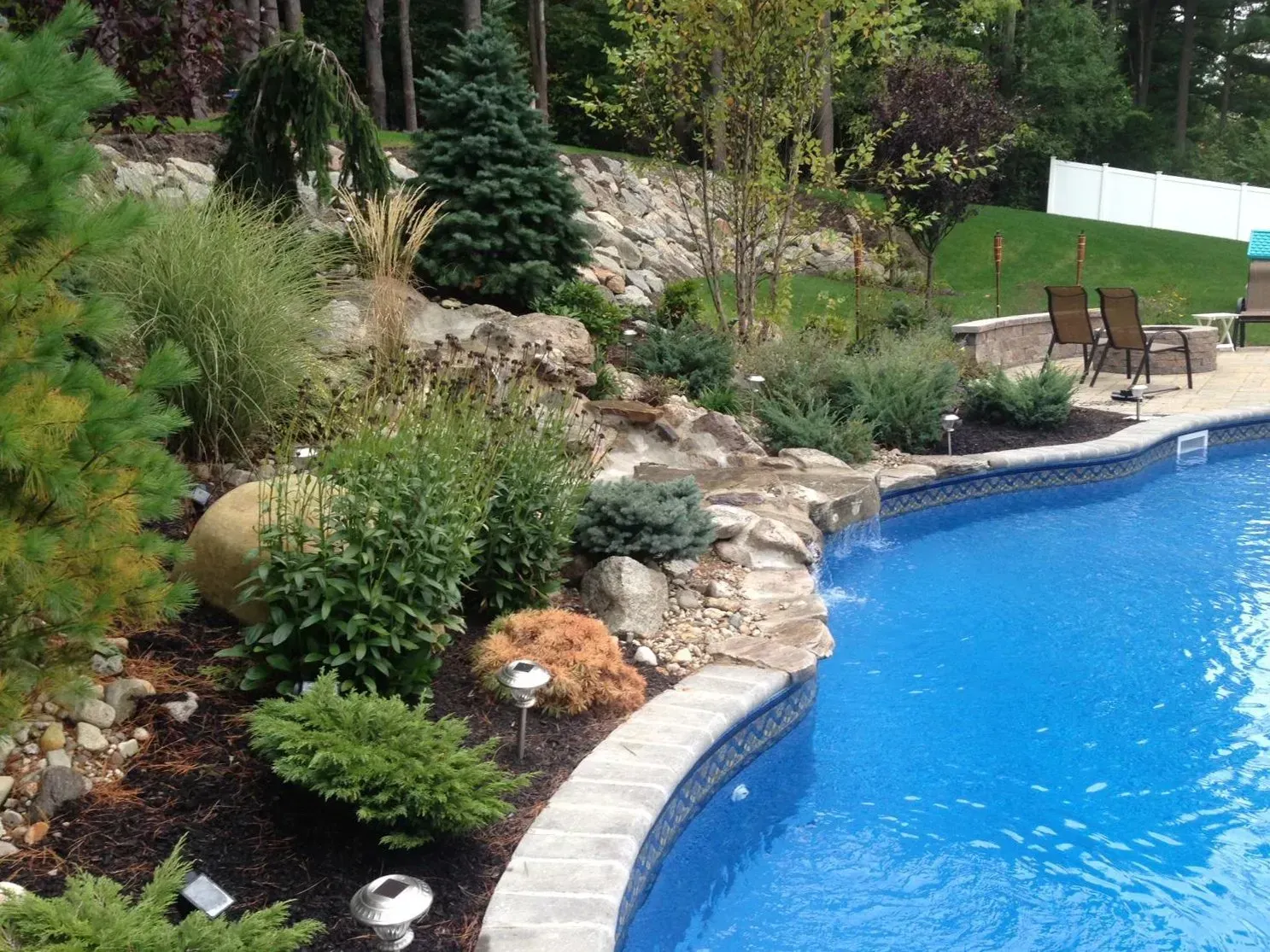 A curved swimming pool borders a landscaped rock garden with various evergreen shrubs and a small waterfall.
