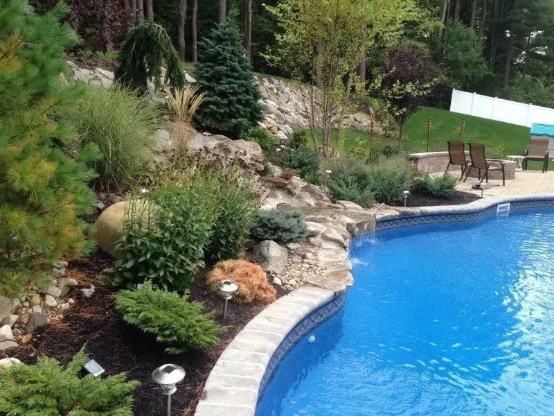 A landscaped pool area with blue water, stone retaining walls, various shrubs, trees, and patio chairs in the background.