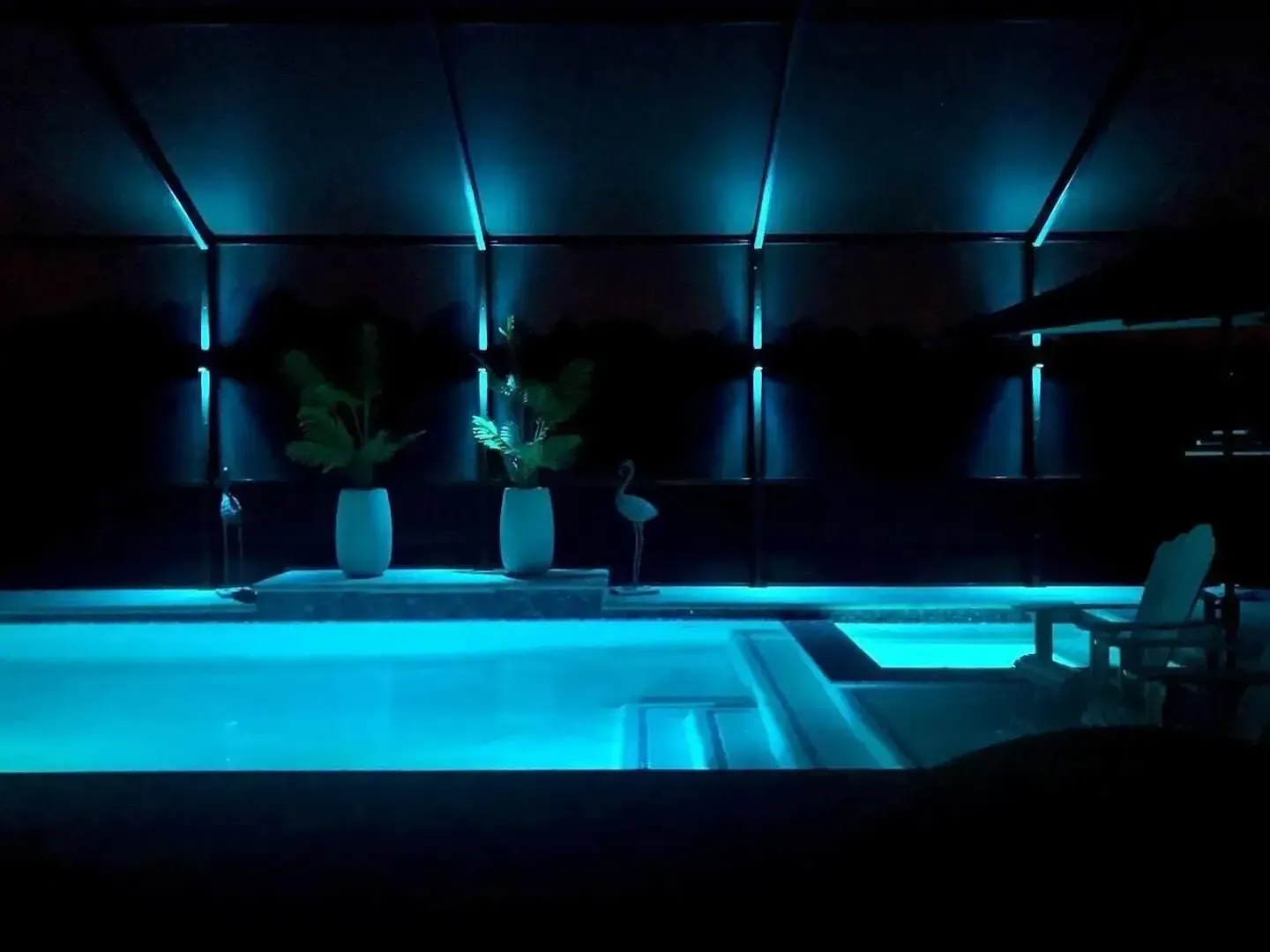 Blue-lit indoor pool with white loungers and potted plants at night