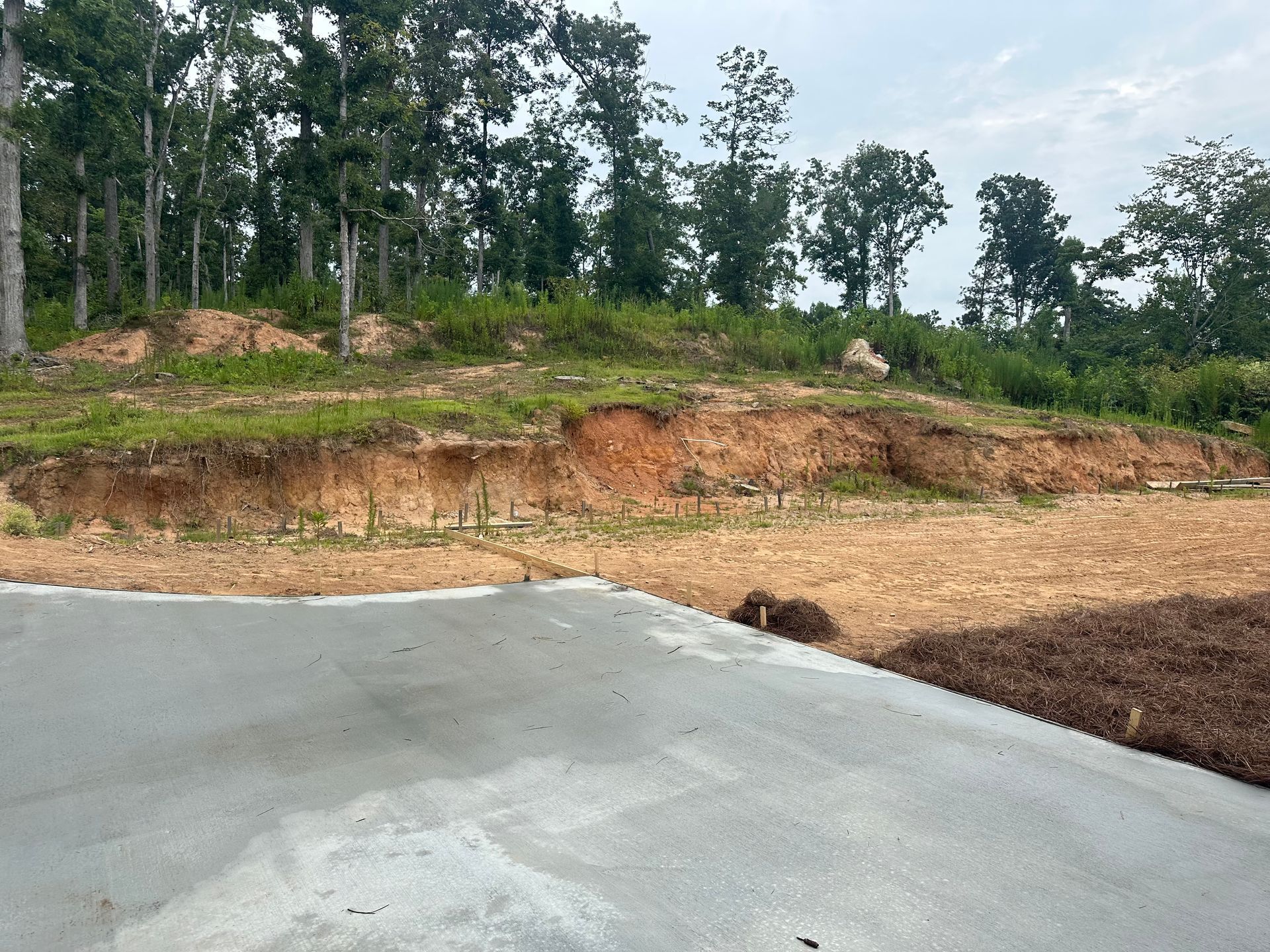 A road going through a dirt field with trees in the background