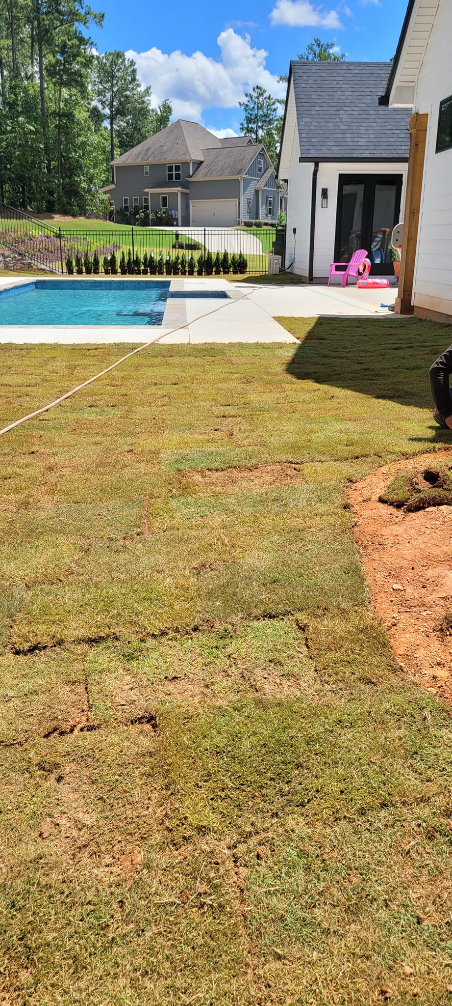 Newly sodded backyard