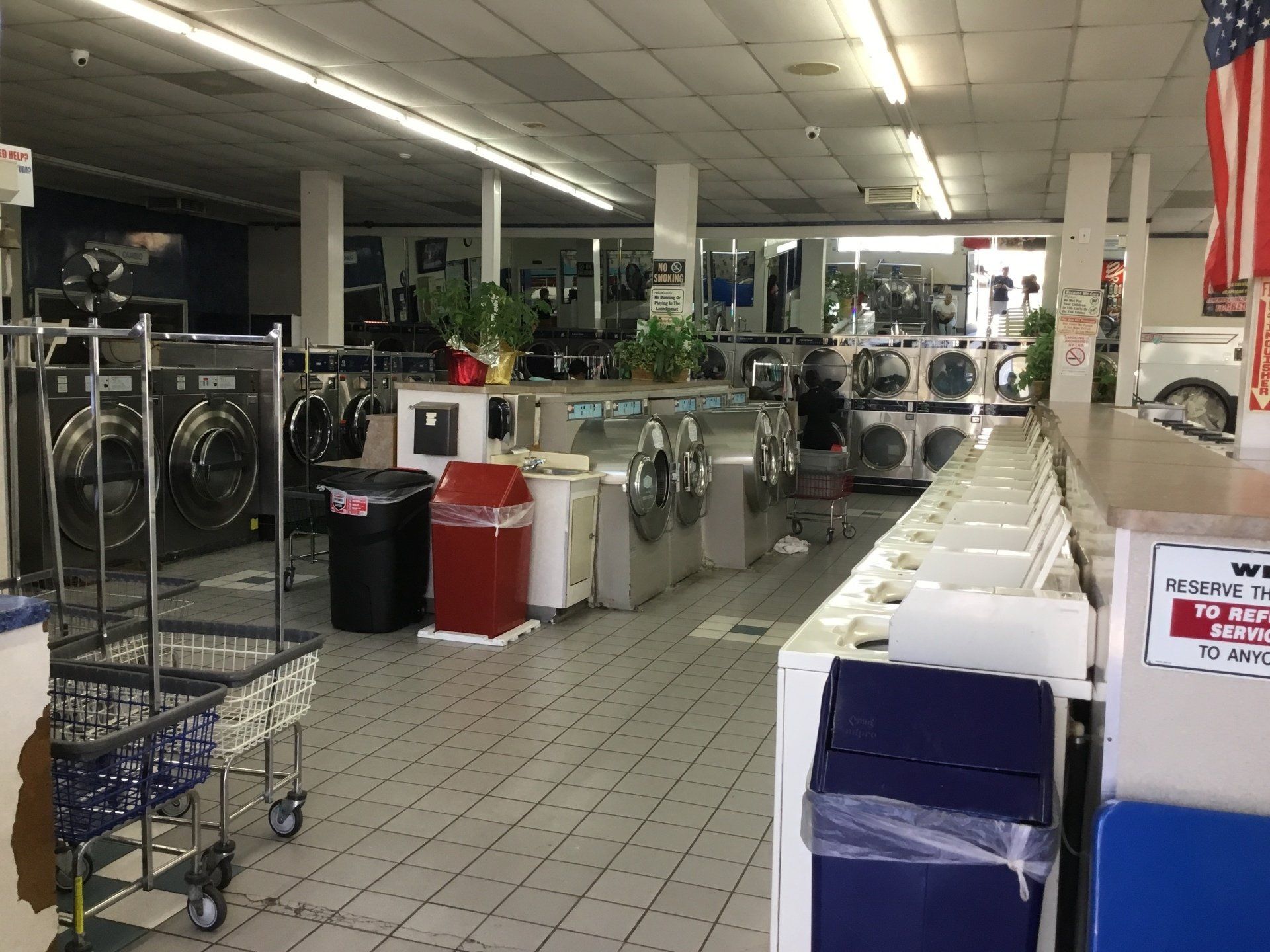 Don Gordo's Launderland