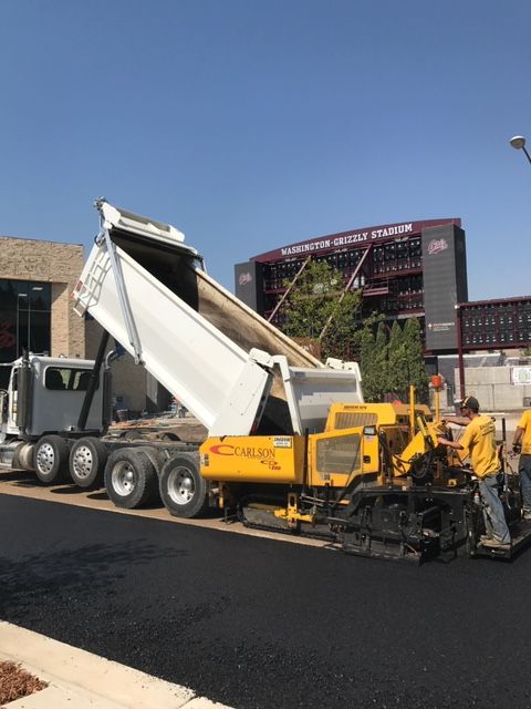 Washington grizzly pave