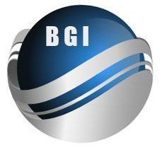 BG International LLC - logo