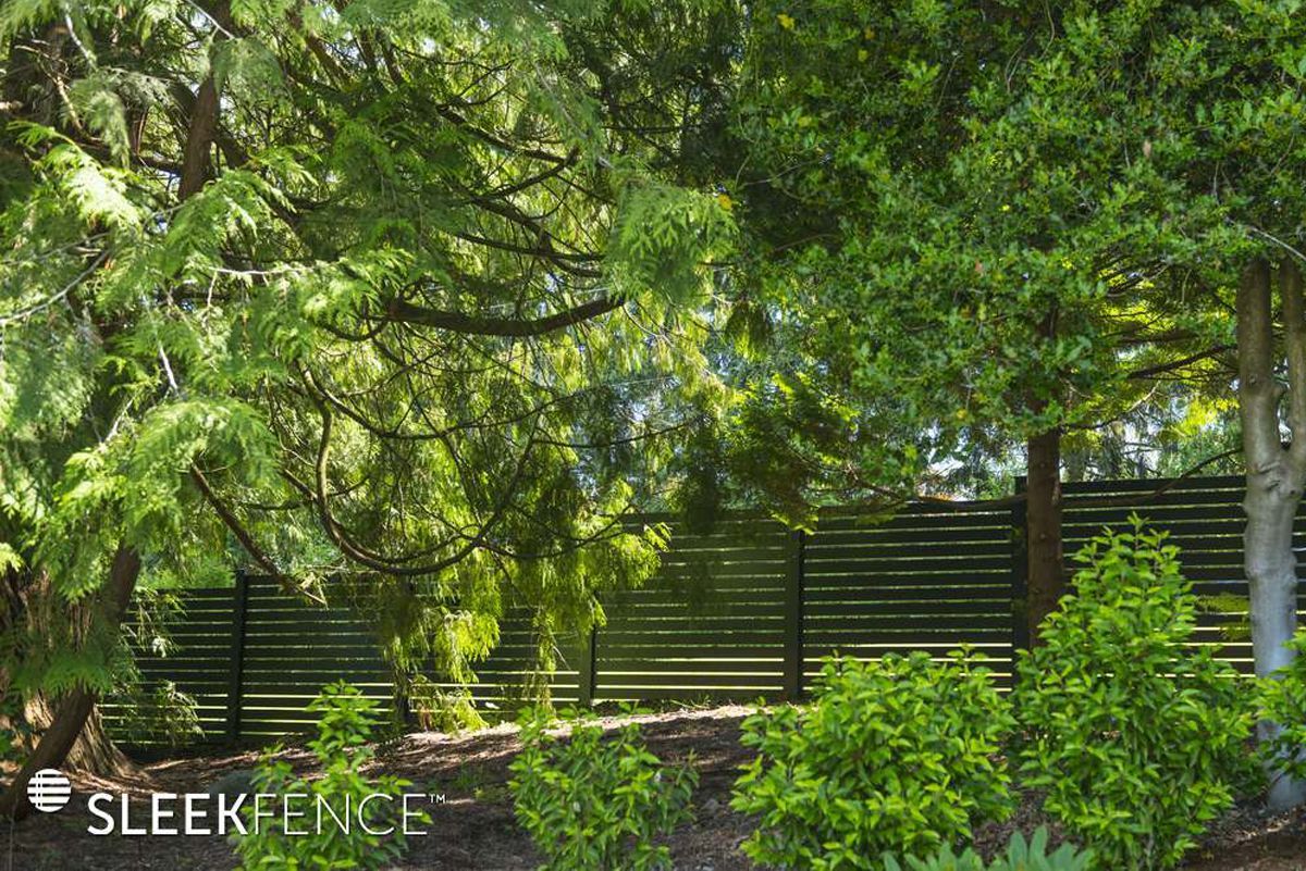 Sleek screen fence in garden