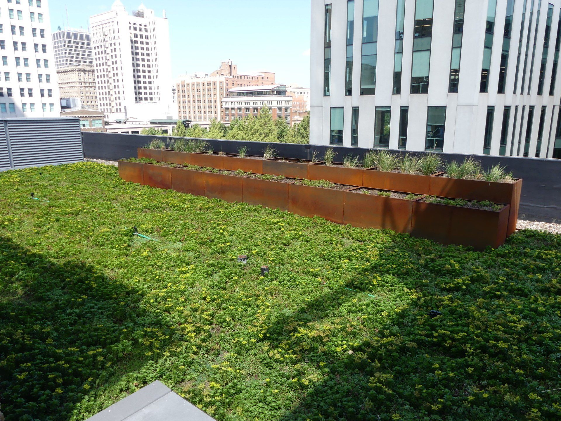 A lush green rooftop with planters on it