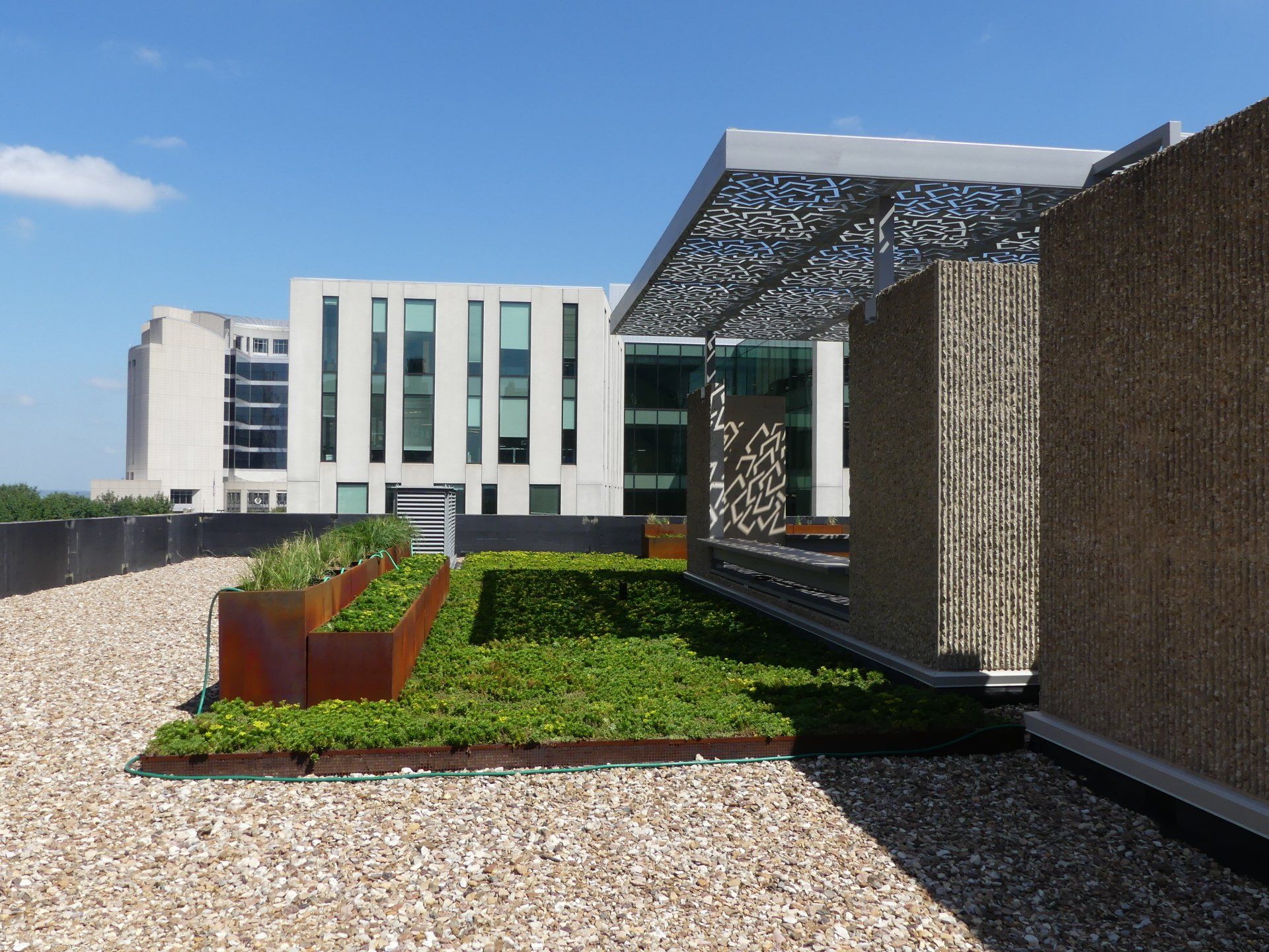 A rooftop garden with a building in the background