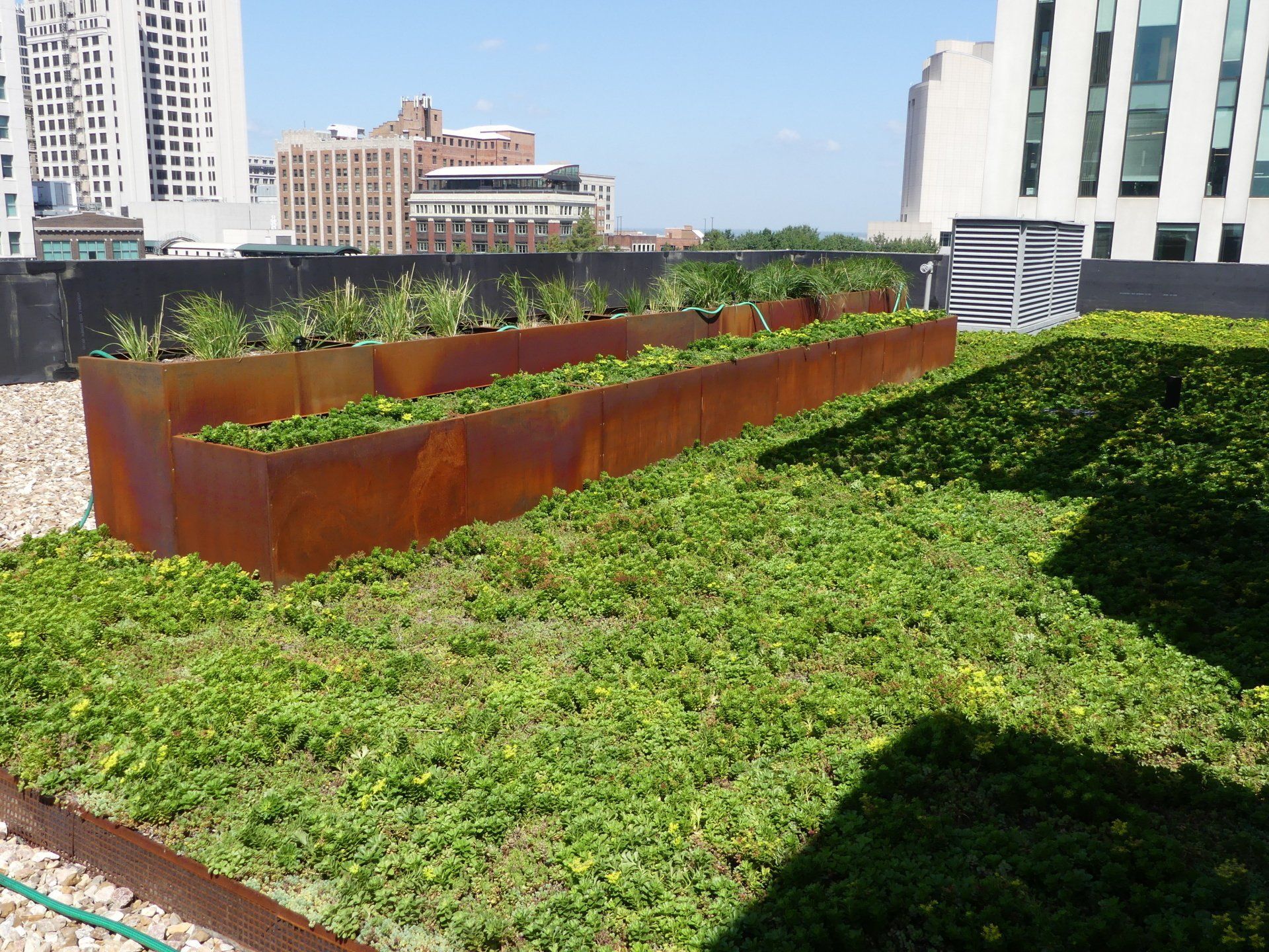A row of planters filled with green plants on a rooftop