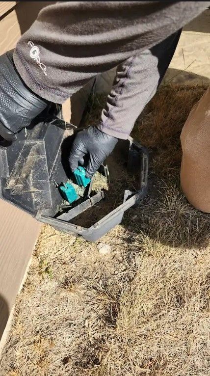 A person wearing black gloves is holding a blue object in a container