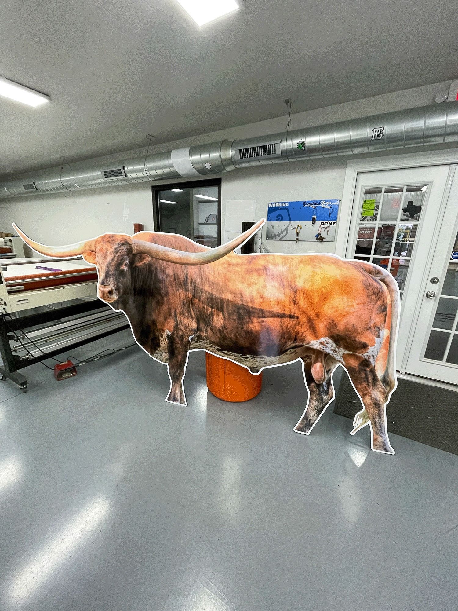 Brown bull standing in a lab room beside equipment and cabinets