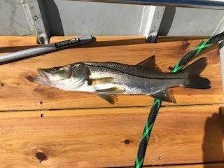 Beautiful custom project