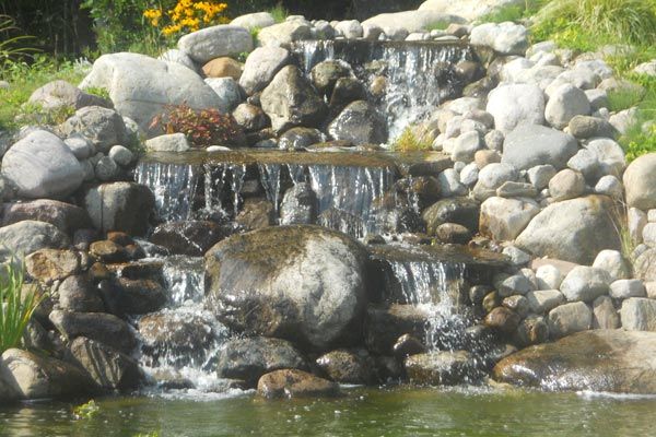 Water Feature