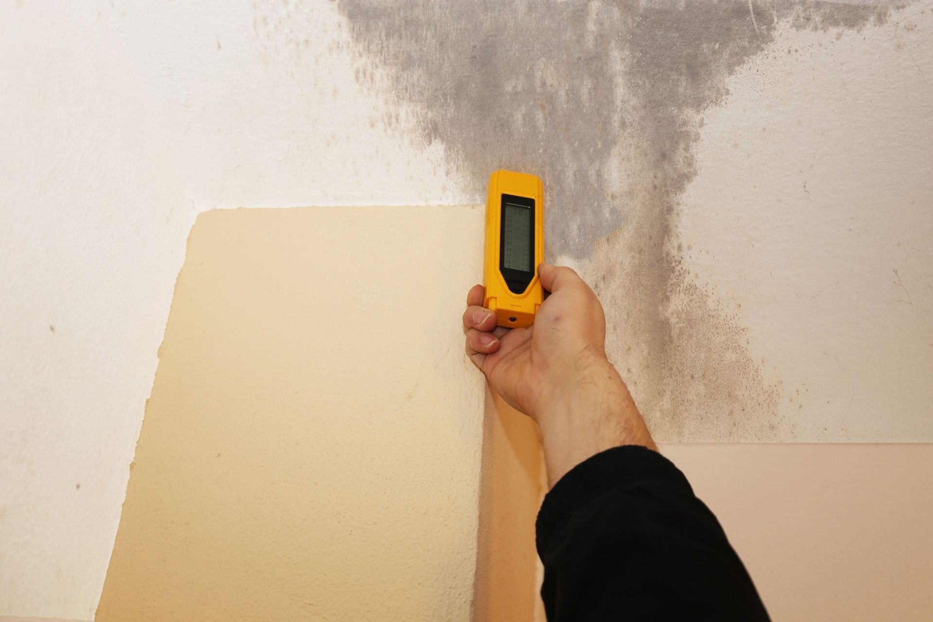 A person is measuring the humidity of a wall with a digital thermometer.