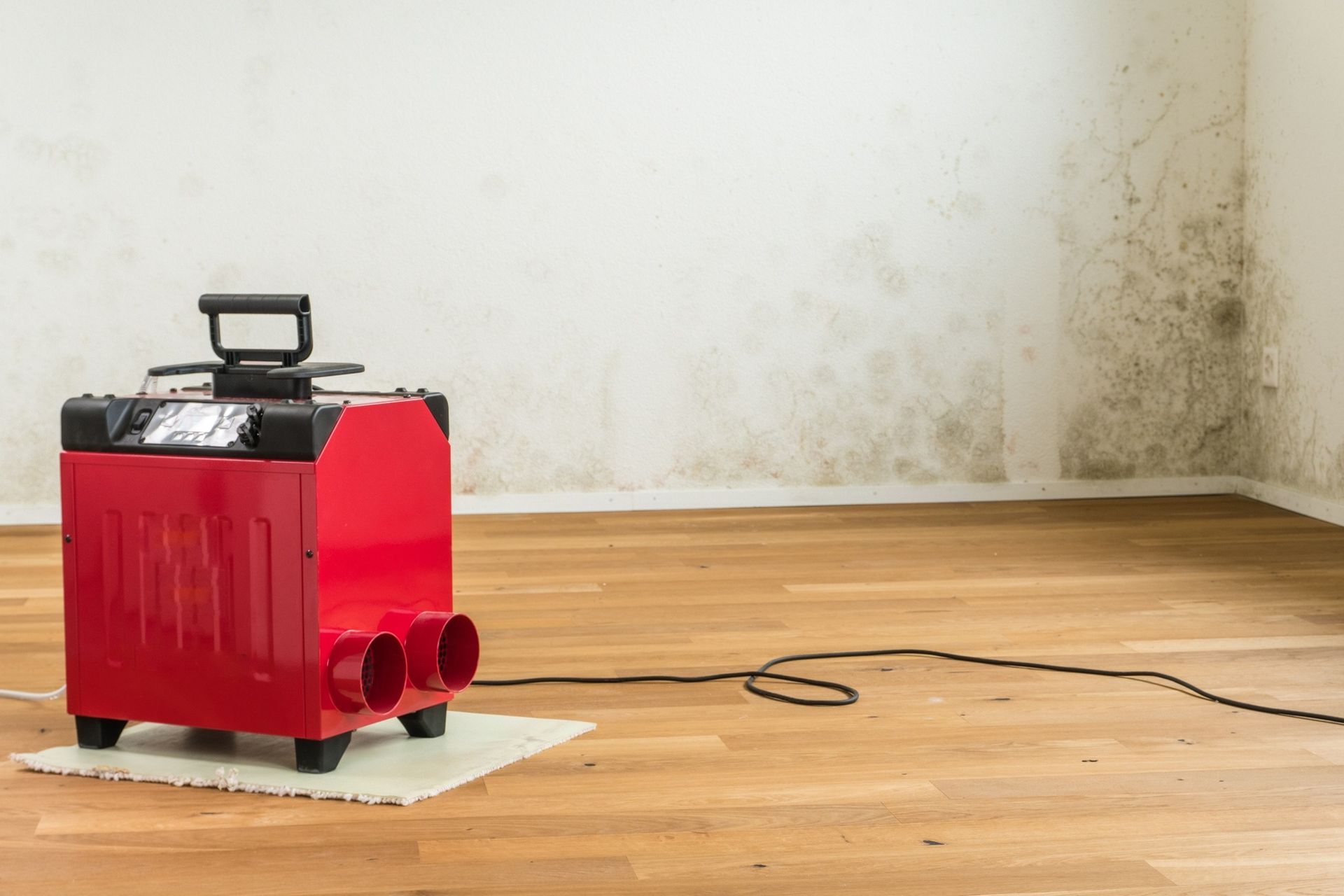 A red machine is sitting on a wooden floor in a room with mold on the walls.