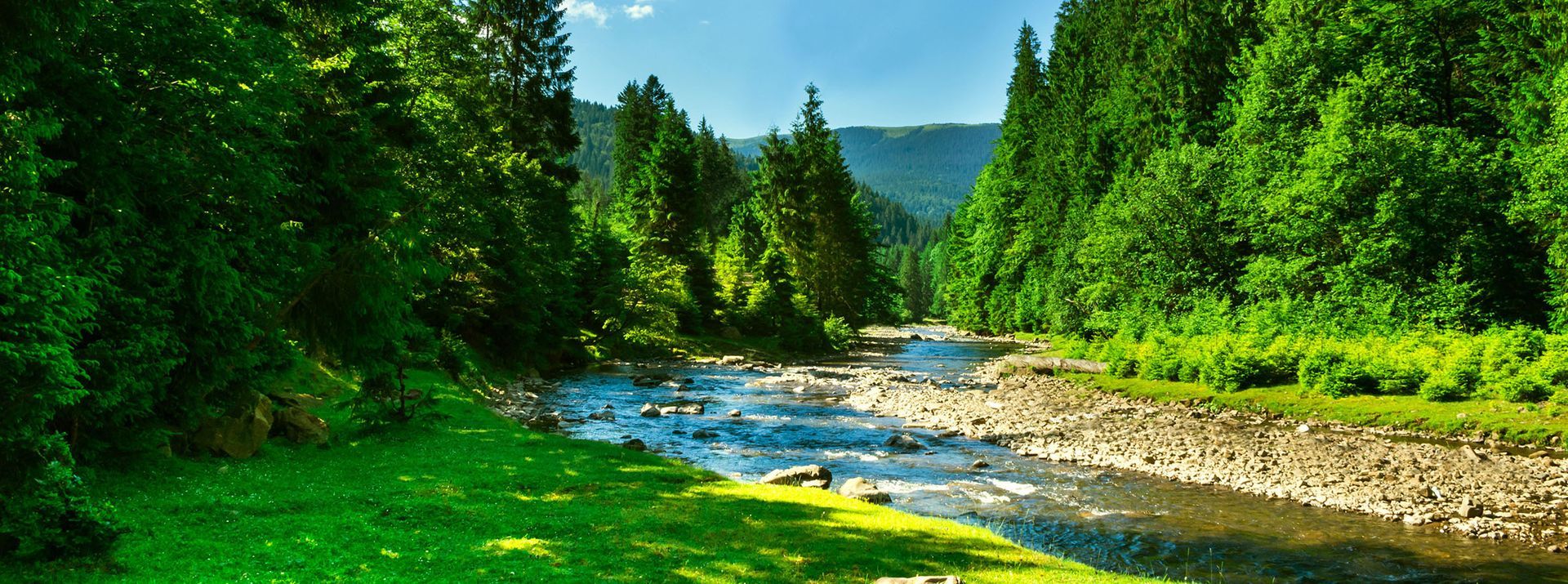 A vibrant river flows through a lush green forest under a bright blue sky.