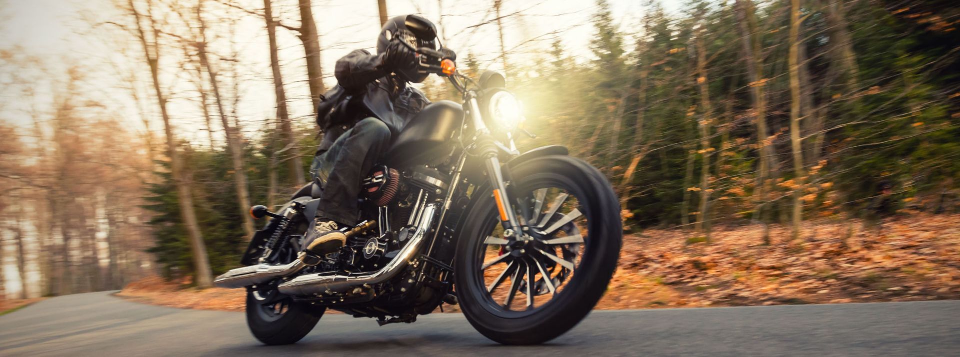 Motorcyclist riding on a curved road through a forest; bright sunlight.
