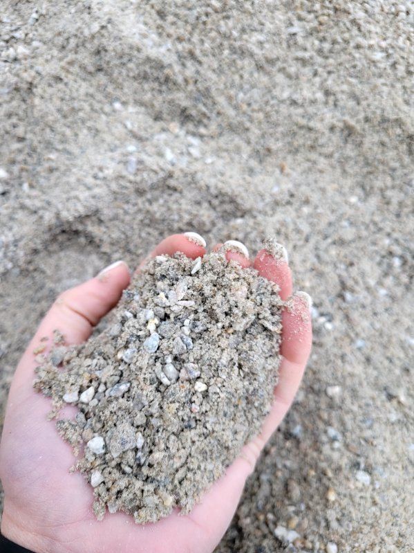 A person is holding a pile of sand in their hand.