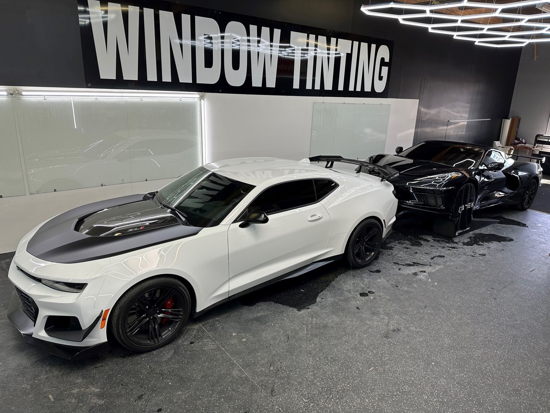 Paint protection film for vehicles