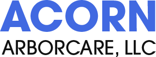 Acorn ArborCare, LLC - Logo
