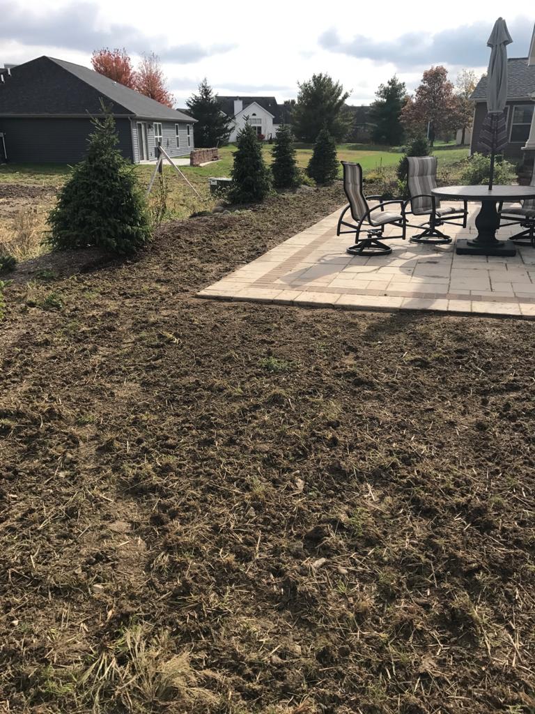 Grass installation before