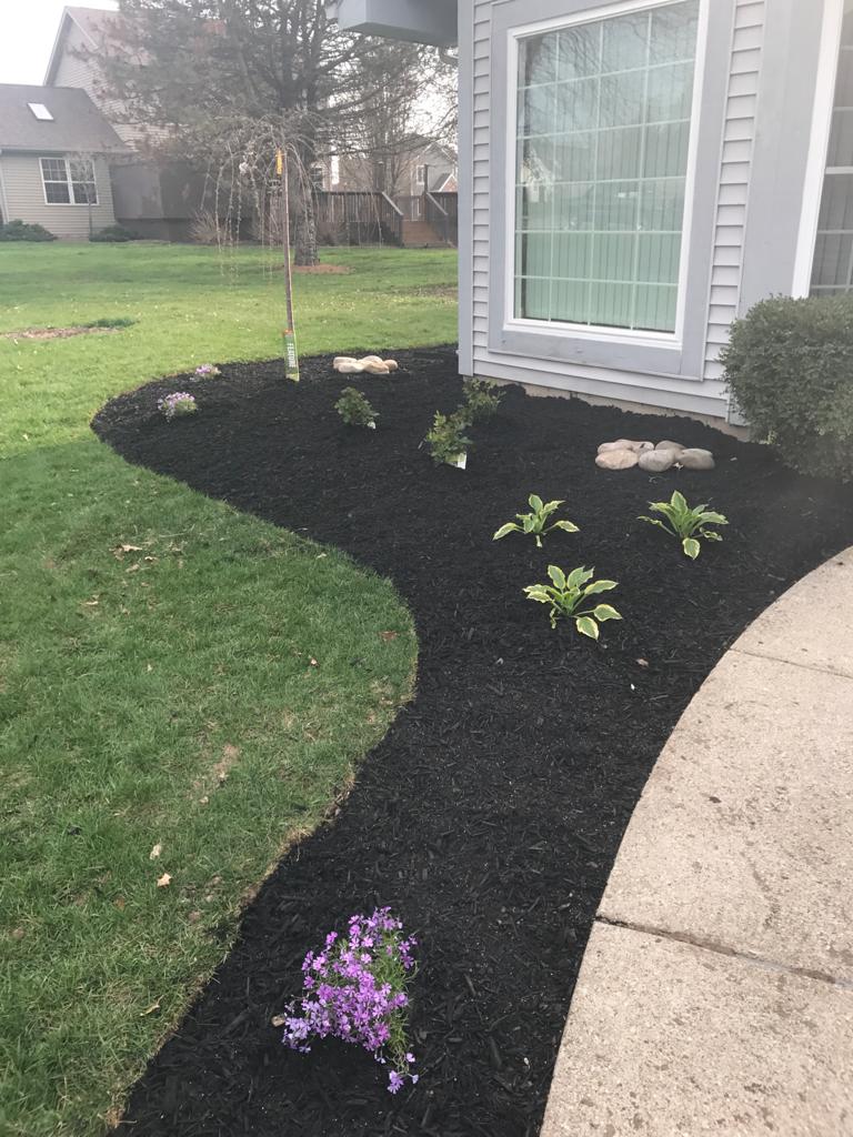Mulch installation after