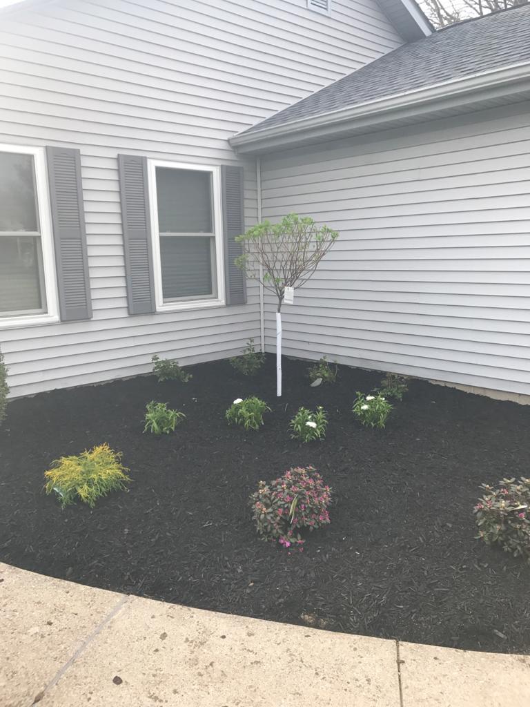 Mulch installation after