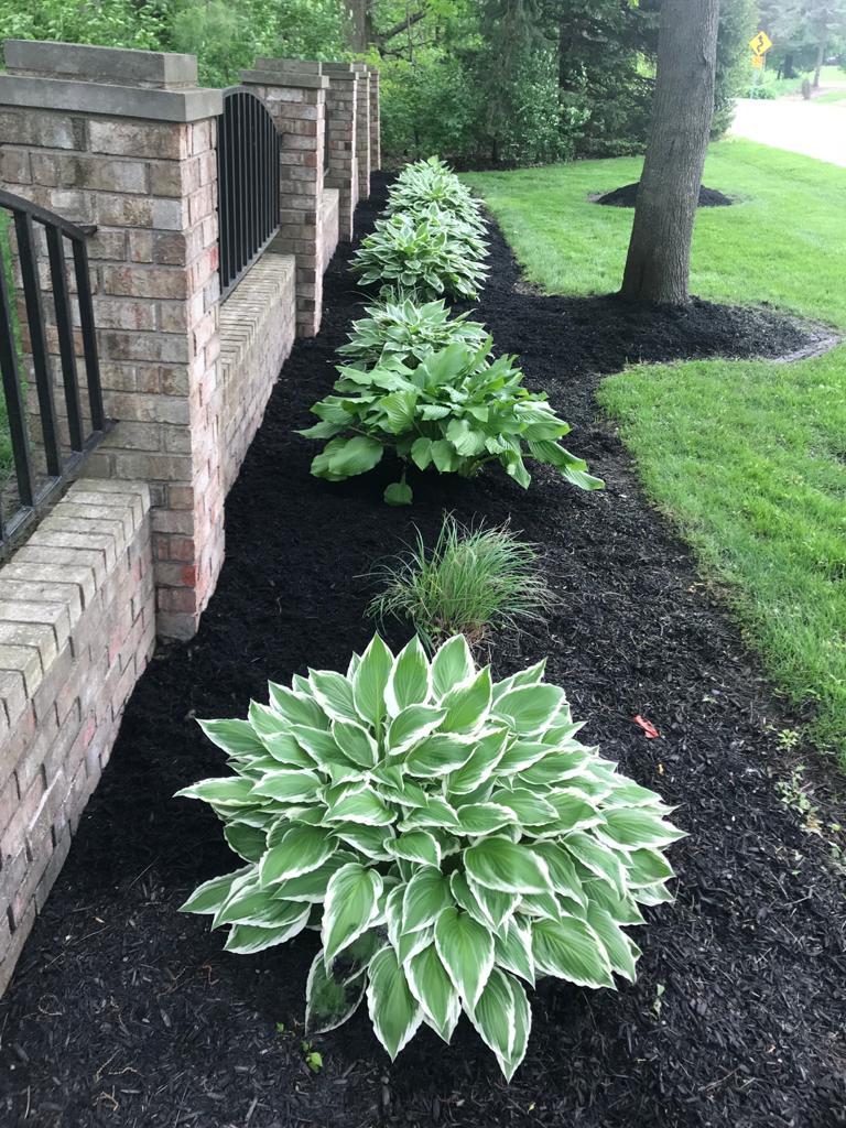 Flowerbed maintenance