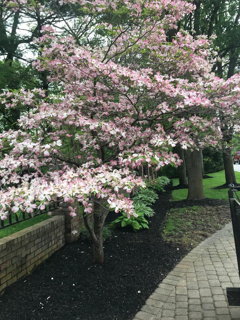 Flowerbed maintenance
