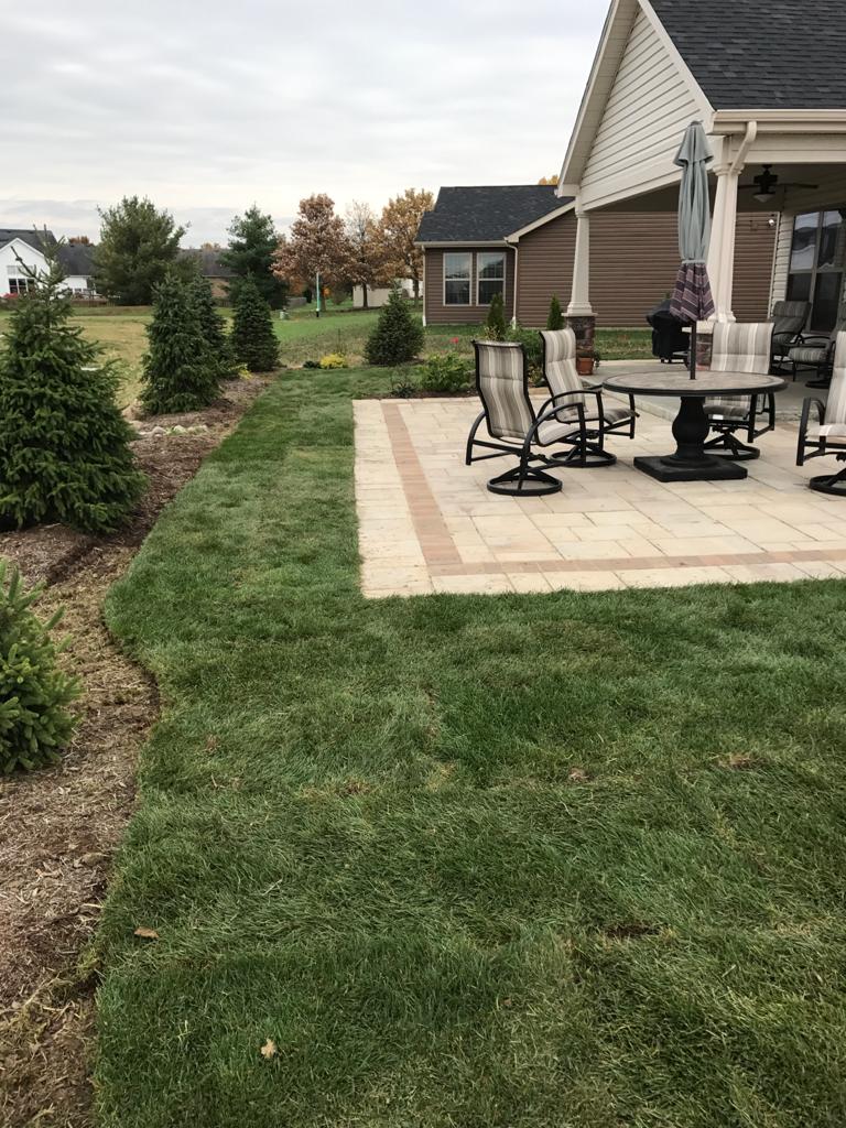 Grass installation after