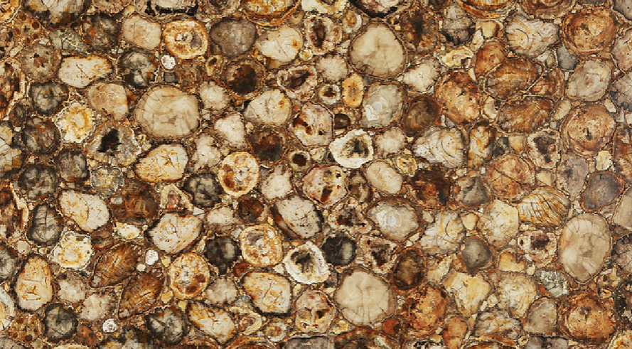 A close up of a rocky surface with a lot of holes in it.